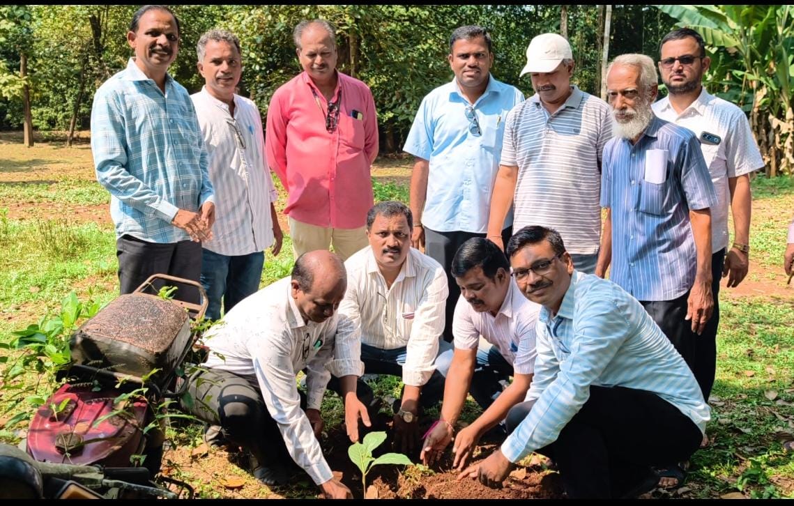 गोपुरीतील चिकूच्या बागेतील व्यासपीठाला माधवराव गाडगीळ यांचे नाव