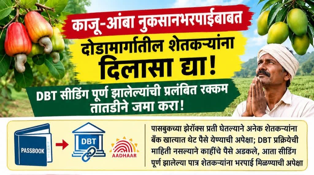 काजू-आंबा नुकसानभरपाईबाबत दोडामार्गातील शेतकऱ्यांना दिलासा द्या!
